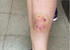 moreton01.jpg (207231 bytes)